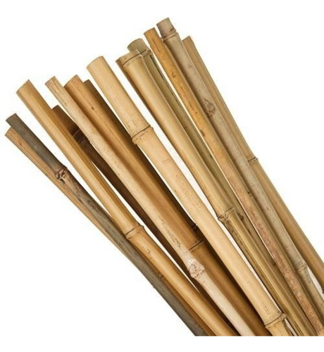 Caña Tacuara Bambu De 1.50m De Altura