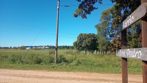 Imagen 8 de 12 de Venta Lote - Barrio Don Pedro Gualeguaychu