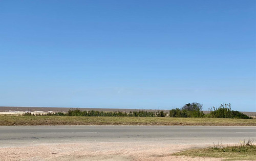 Imagen 2 de 16 de Venta Apartamento Barra De Carrasco 2 Dormitorios Jardin De Uso Exclusivo