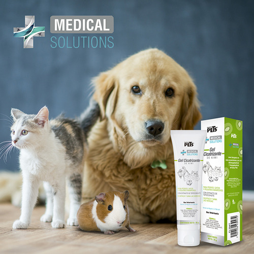 Ms Gel Cicatrizante De Kiwi P/ Perro Gato Mamíferos Pequeños