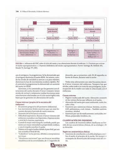 Problemas De Salud En El Embarazo, Obstetricia Y Ginecología