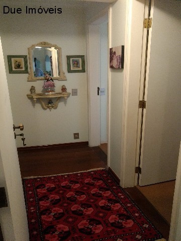 Imagem 12 de 25 de Apartamento Amplo Centro Indaiatuba - Ap00303 - 4726600