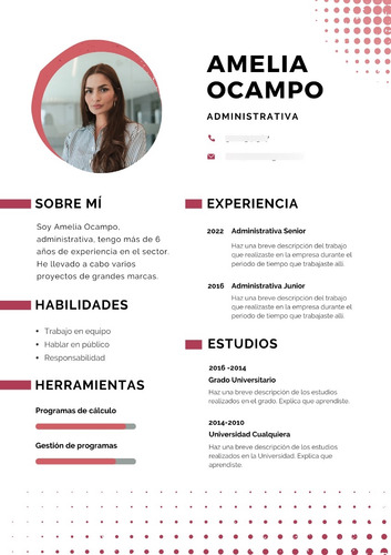 Curriculum Vitae Cv En Ingles
