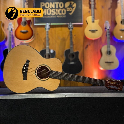 Violão Elétrico Aço Mini Gonzalez Luthier Gz Mini - Regulado