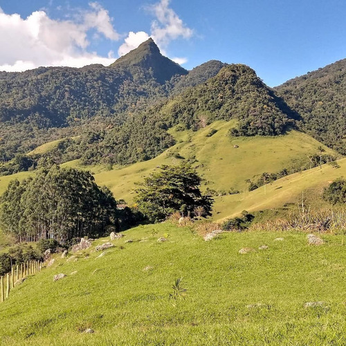 Chácara A Venda Em Rio Das Pedras Lídice Rio Claro Rj