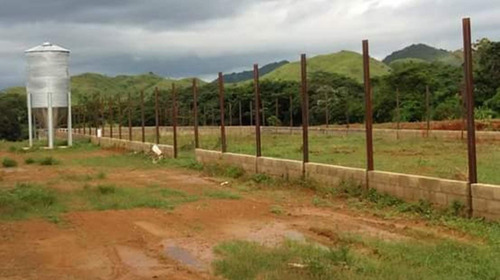 Imagen 2 de 8 de Venta De Funcional Finca Productiva En San Juan De Los Morros, Guarico - Inmobiliaria Maggi 501