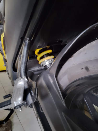Fz15