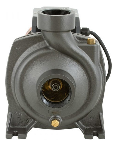 Bomba Superficie 2hp Centrífuga Gran Caudal Bercatti //cyj