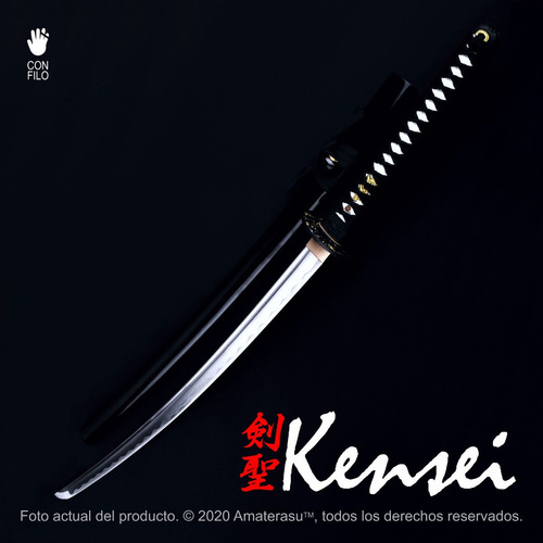 Imagen 2 de 10 de Katana Negra Kensei Aohige Acero Carbono Full Tang Filo Extr