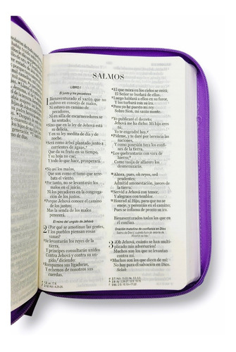 Imagen 4 de 10 de Biblia Reina Valera 1960 Letra Grande Cierre Lila Boreal