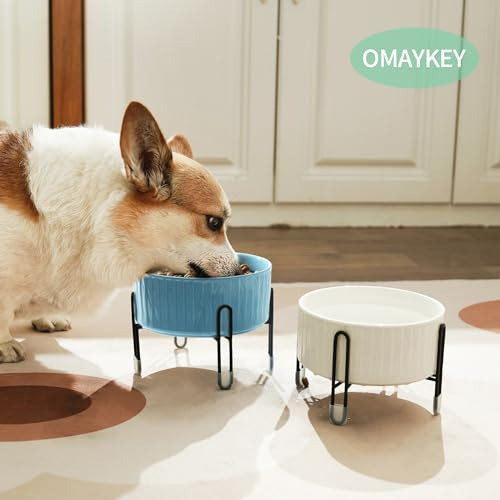 Juego Tazones Elevados 32 Oz Gatos Perros 6.5 Blanco Azul