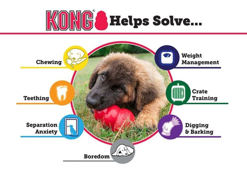Kong Cozie Elefante Rosa Peluche Con Sonido Para Perro