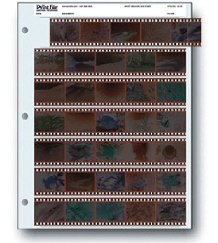 Hojas De Almacenamiento De Archivos 35-7b25 Para Negativos D