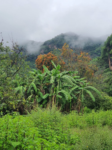 Imagen 8 de 9 de Malinalco Terreno En Venta