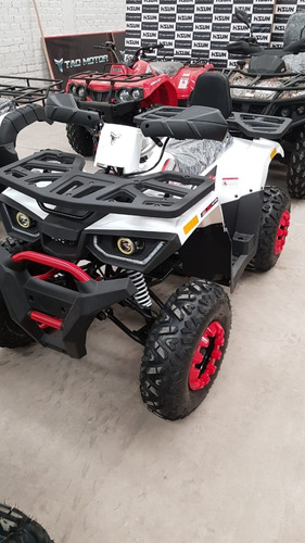 Imagen 13 de 16 de Cuatrimoto Braves 200 , 12hp, Automatic Pantalla Digt 2022