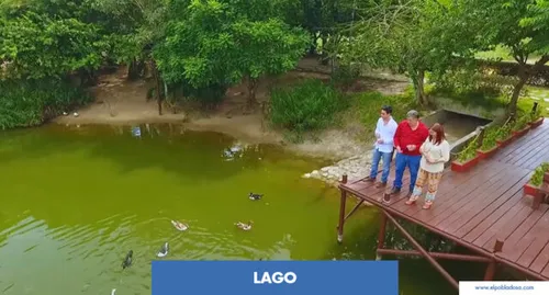 Lote En Poblado Campestre - Santo Tomas (cm&d141).