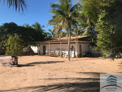Imagem 23 de 23 de Granja A Venda Em Macaíba