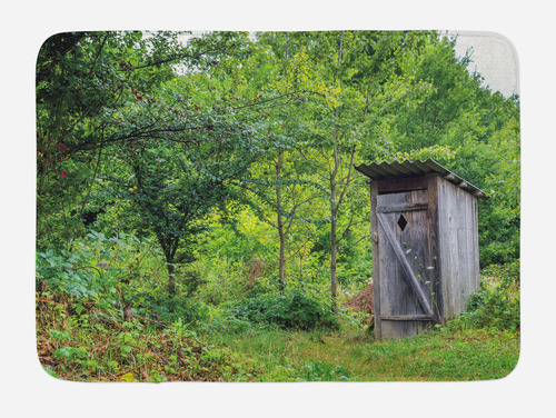 Tapete Baño Cabaña Desgastada Bosque Abandonado Imagen Felpa