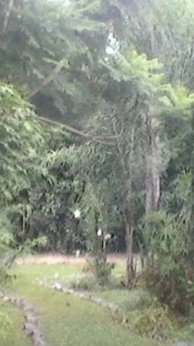 Terrenos En Venta En La Ribera De Quilmes
