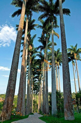 Imagem 22 de 30 de Terreno À Venda, 1038 M² Por R$ 354.648,00 - Village Das Palmeiras - Itatiba/sp - Te1147