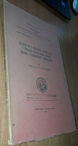 Descripcion De La Macrauchenia Patachonica Owen Y Comparacio (Usado)