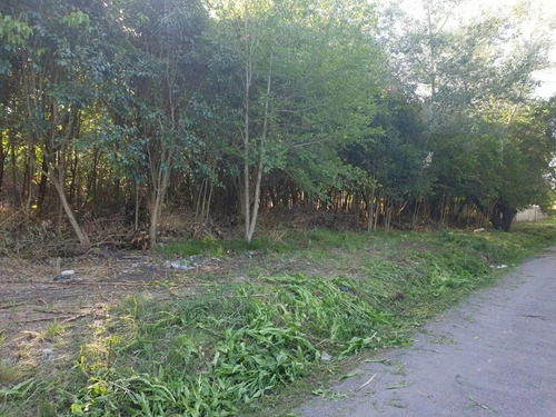 Imagen 5 de 7 de Terreno - Del Viso