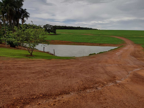 Imagem 4 de 5 de Fazenda Dupla Aptidão Município Piracanjuba