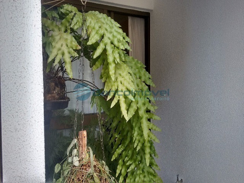 Imagem 15 de 30 de Apartamento - Ap00751 - 3151824