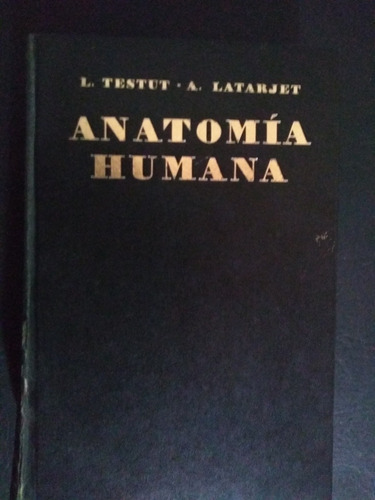 Testut Latarjet