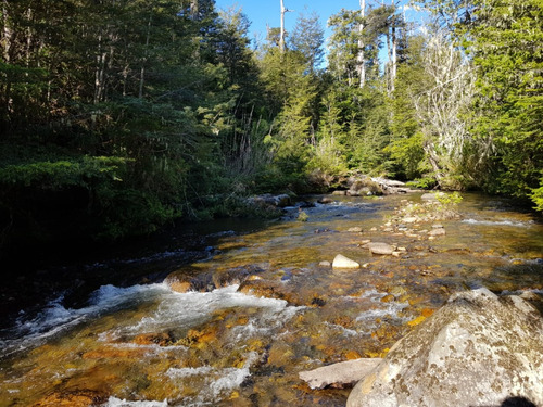 Z O N A S U R . C L  Río Y Laguna Campo Orilla Camino 75 Hás