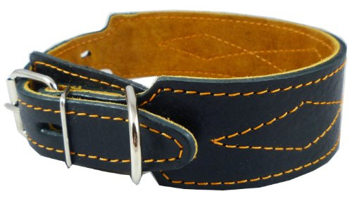 Cuero Verdadero Del Perro Collar Cónico 1.75  De Ancho, Se A