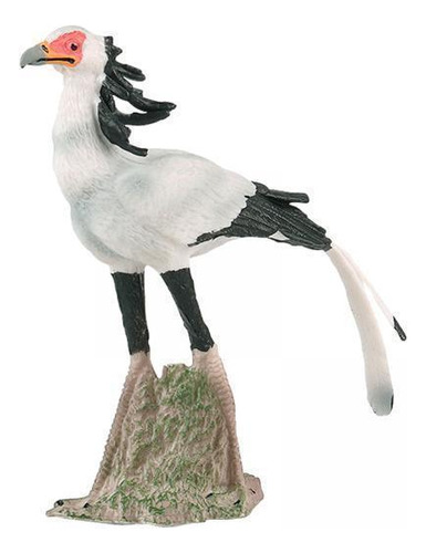 5 Figura Modelo De Pájaro Secretario De Plástico Para La