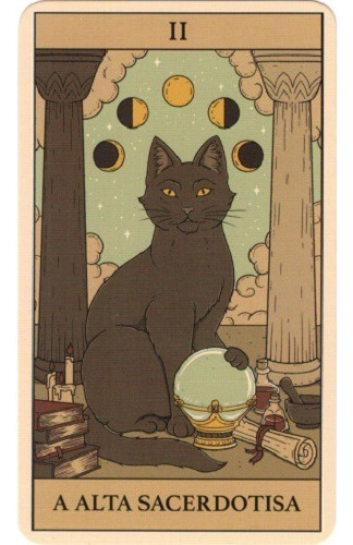 Tarô Mágico Dos Gatos Kit Divinatório Livro 80 Pag+78 Cartas