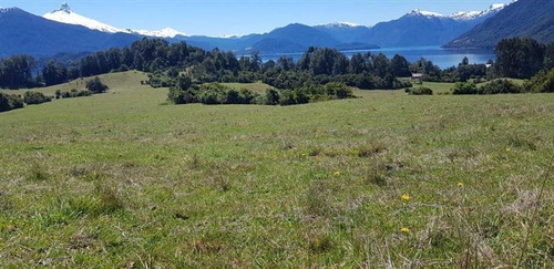 Imagen 6 de 6 de Hermoso Predio Con Playa, Lago Todos Los Santos,puerto Varas