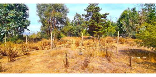Espectacular Terreno De 10.000m² Hacienda Reñaca