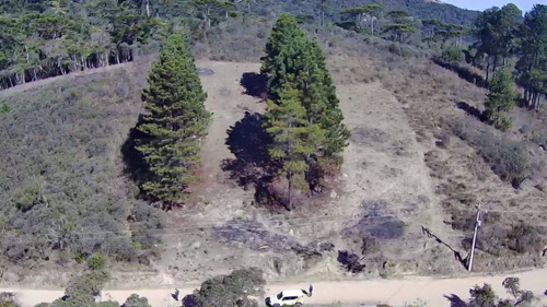 Imagem 10 de 11 de Terreno Com Vista Deslumbrante! - 34