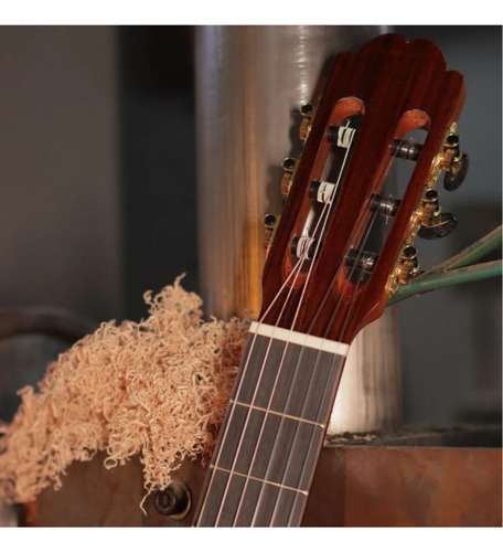 Violão Classico Acustico Camerata Lcs-101 Natural Phx