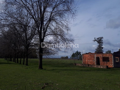 Imagen 1 de 7 de Terreno Campo En Venta Ubicado En General Rodríguez, G.b.a. Zona Oeste