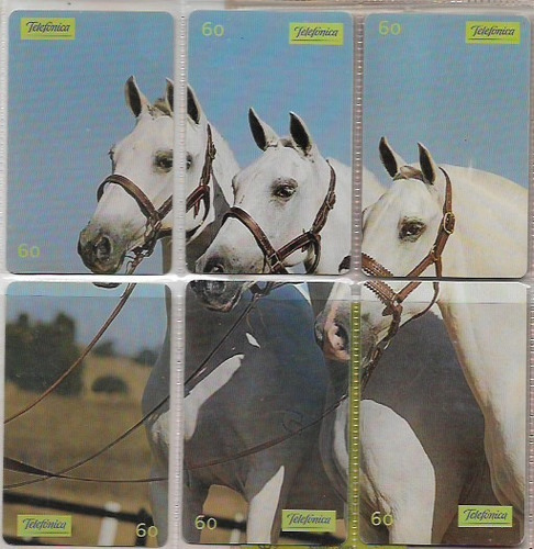 Cartao Telefonico - Serie Completa - Cavalo Branco - Andaluz