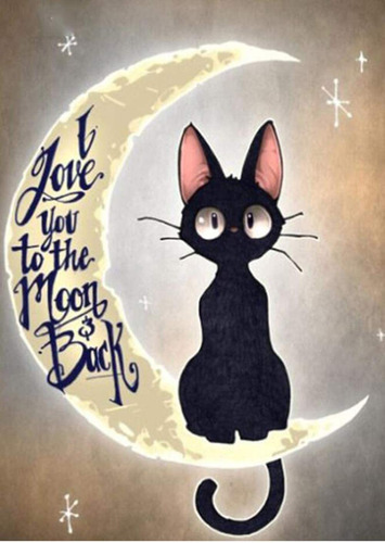 Kit Pintura Con Diamantes 5d -luna Gato Negro 30x40cm Diy