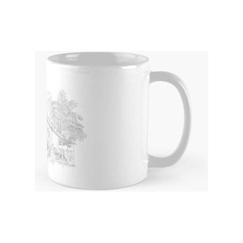 Taza Esquema De La Casa De Serquel Calidad Premium