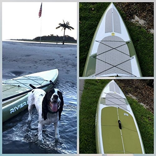 Perro Traccion Pad Con Calcomania 3 M 4 Pieza Cubierta Agarr