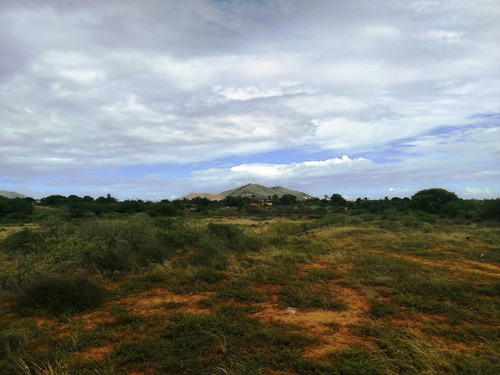 Terreno En El Cardon, Frente Al Stadium, Antolin Del Campo