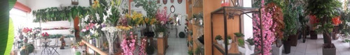 Imagem 14 de 14 de Loja Ponto Comercial 100m² Jardim Bela Vista Santo André Sp.