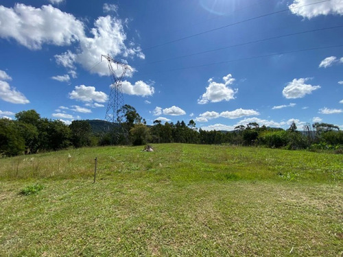 Chácara 7.000 M² - Passo Do Pinto - Gravataí - Rs - 2506 - 69255516