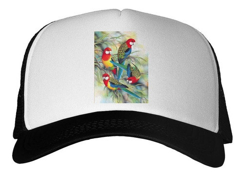 Gorra Pajaros Colores Ramas Art