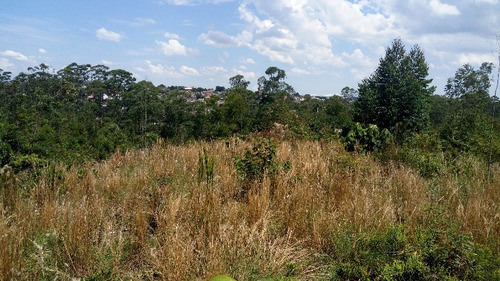 Imagem 30 de 30 de Terreno Botujuru Mogi Das Cruzes Sp Brasil - 87