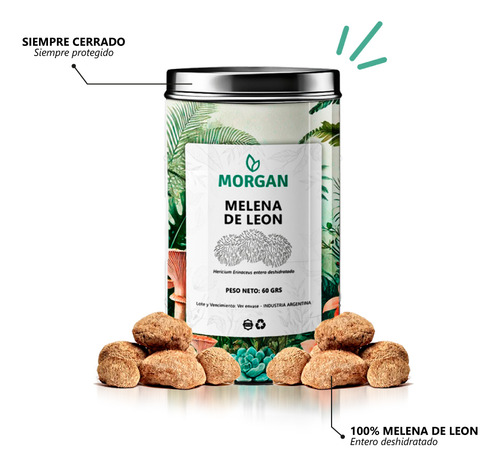 Melena De León Entero Deshidratado | 60grs | Ed. Limitada