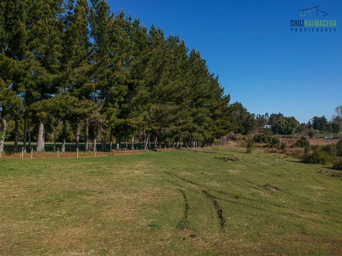 Agrícola En Venta En Fresia