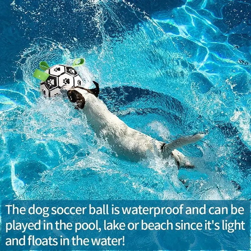Pelota De Fútbol Inflada Ball, Juguete Para Perros, Para Ent